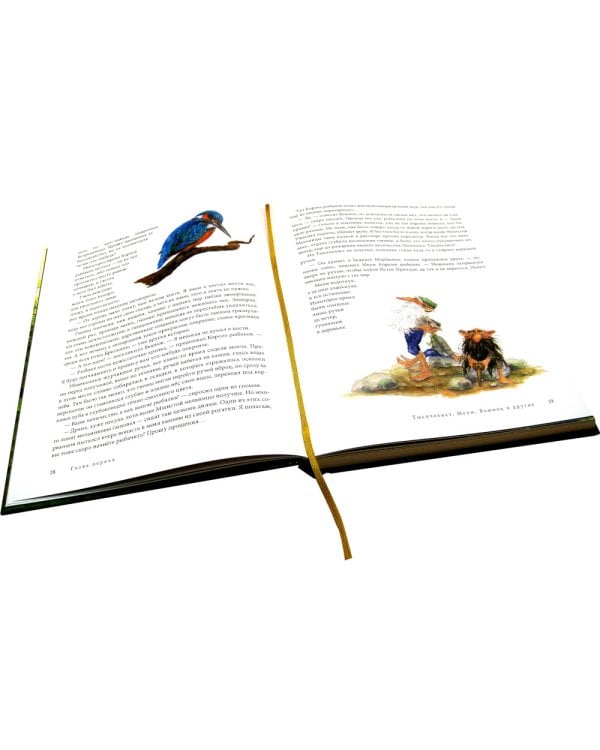 Вверх по Причуди и обратно. Удивительные приключения трех гномов