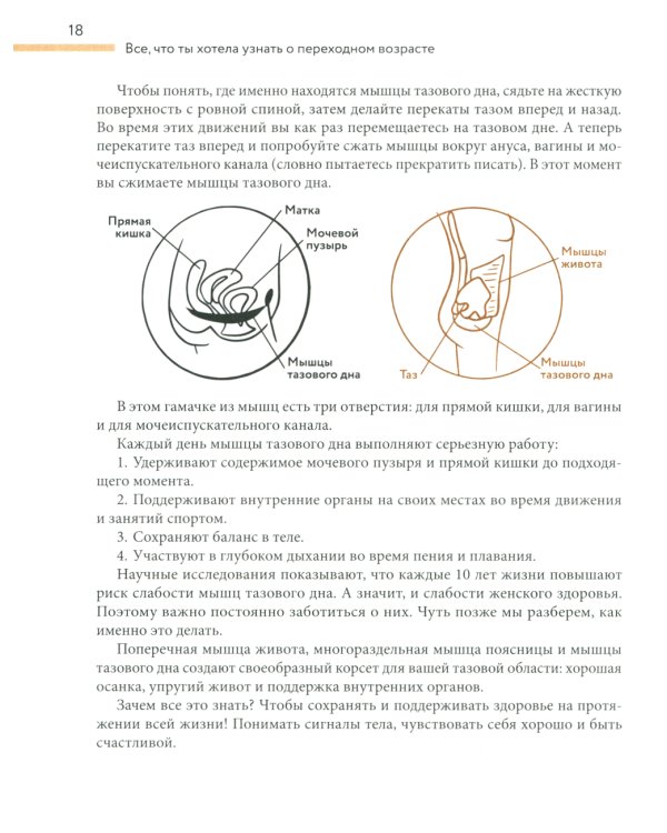 Все, что ты хотела узнать о переходном возрасте. 2-е изд., испр