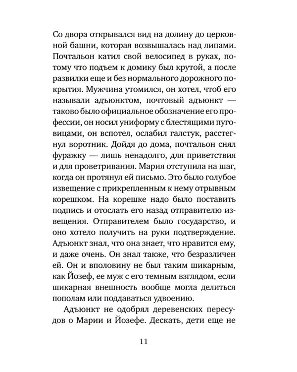 Багаж: роман