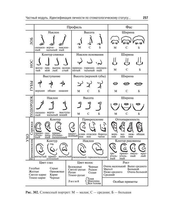 Судебная медицина в схемах и рисунках: Учебное пособие