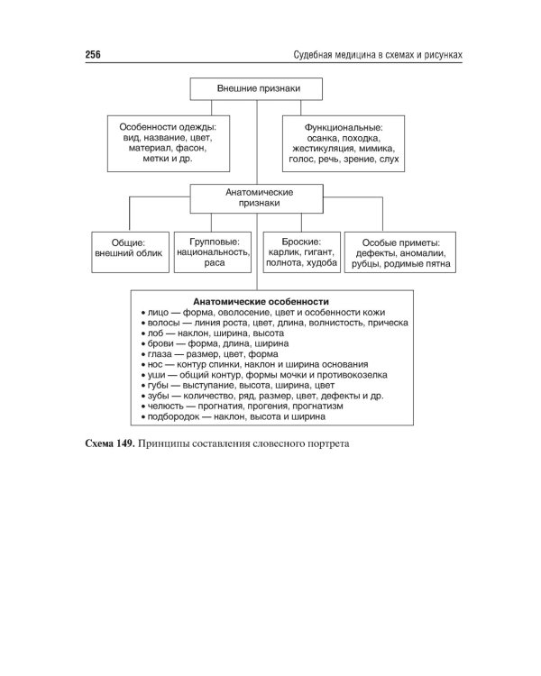 Судебная медицина в схемах и рисунках: Учебное пособие