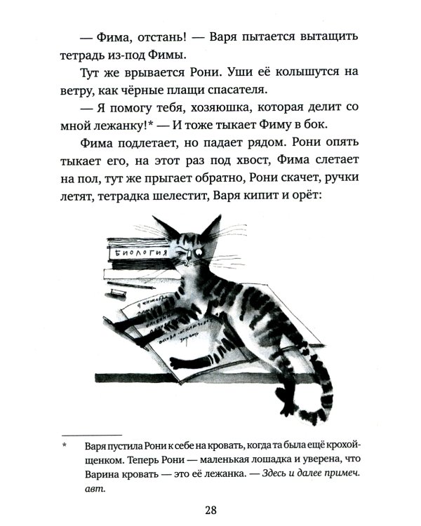 Кот прямо с неба