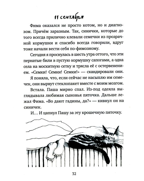 Кот прямо с неба