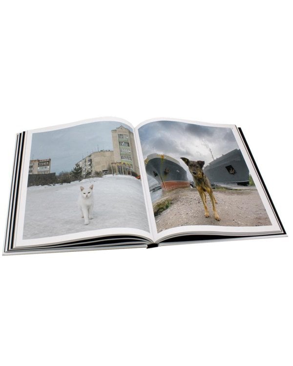 Россия в квадрате