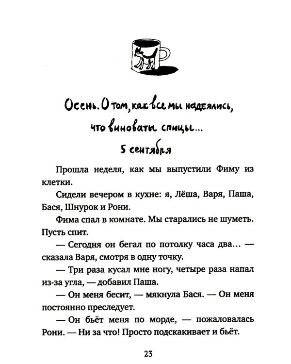 Кот прямо с неба