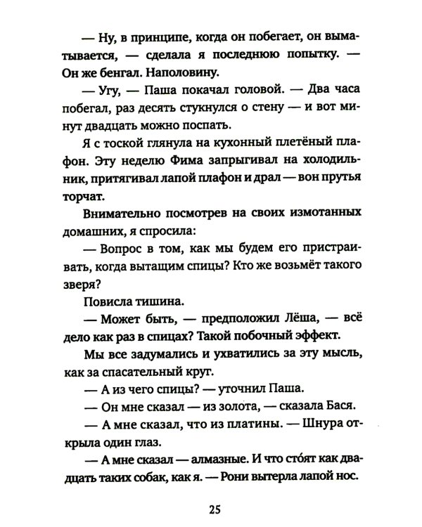 Кот прямо с неба