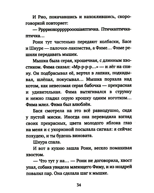 Кот прямо с неба