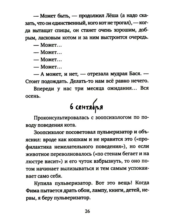 Кот прямо с неба