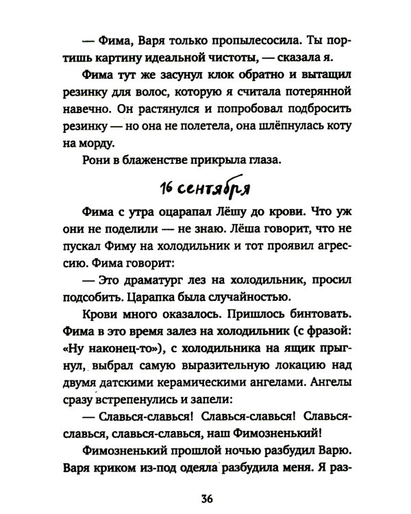 Кот прямо с неба