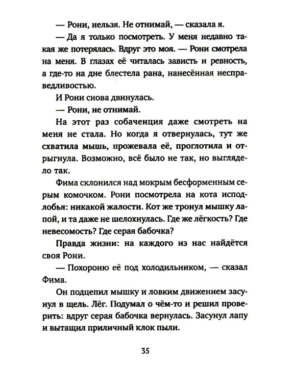 Кот прямо с неба