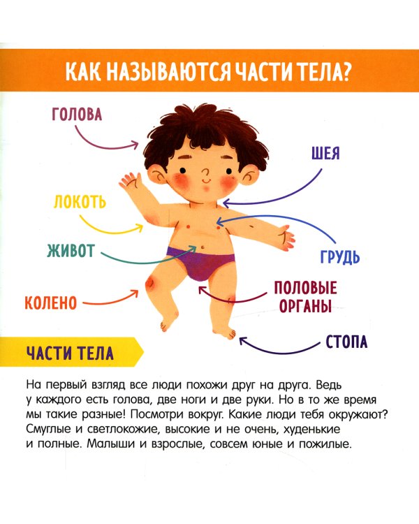 Найди и покажи, малыш. Мое тело