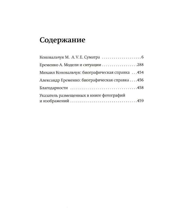 A.V.E. Суматра: роман в письмах, стихах и примечаниях; Модели и ситуации: книга стихов