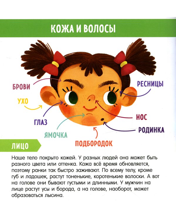 Найди и покажи, малыш. Мое тело