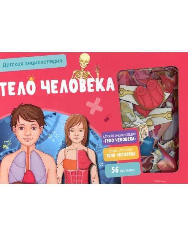 Тело человека. Детская энциклопедия. (56 магнитов)
