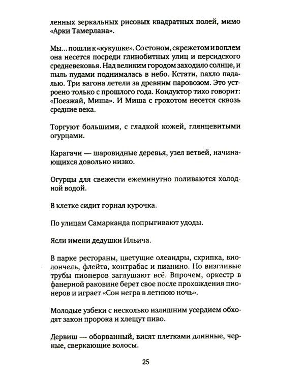 Записные книжки. 1925-1937. Полное издание художественных записей