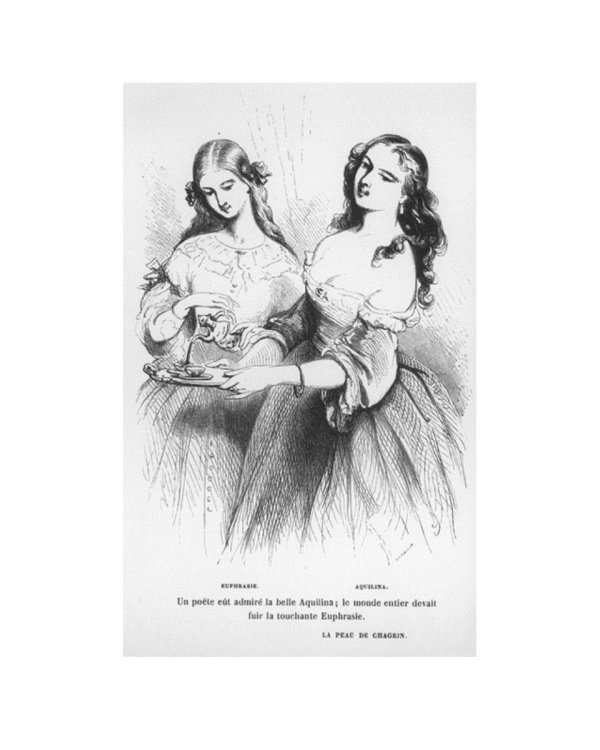 Шагреневая кожа: роман