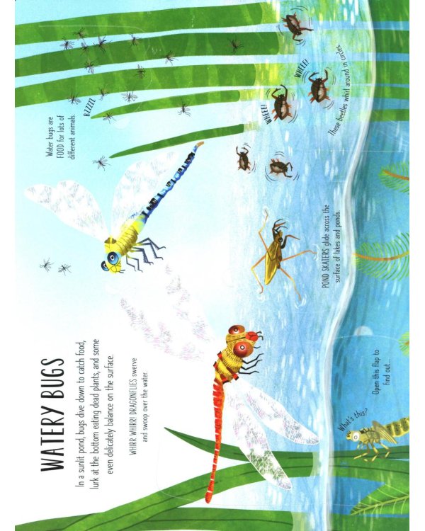 Lift-the-flap. Bugs and butterflies