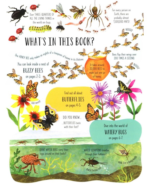 Lift-the-flap. Bugs and butterflies