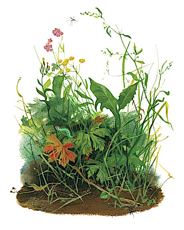 Друзья моего детства