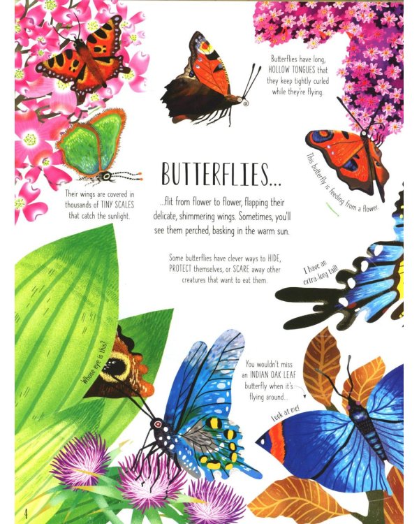 Lift-the-flap. Bugs and butterflies