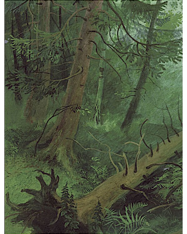 Друзья моего детства