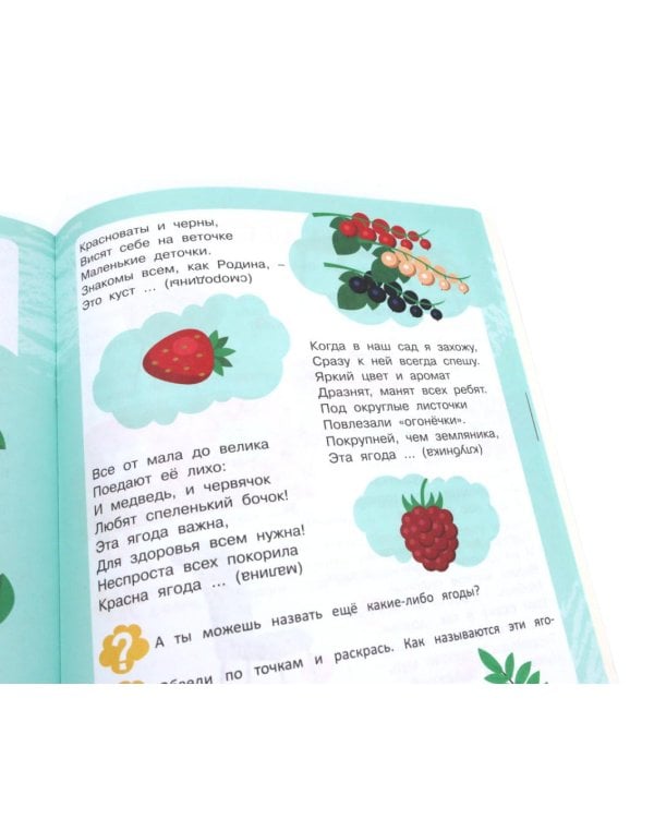 Ребусы. Загадки. Стихи