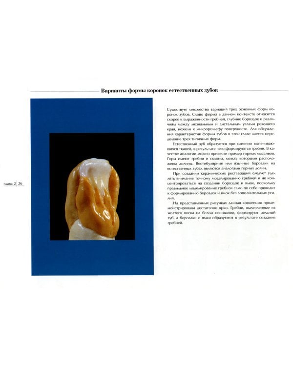 Морфология природы. Атлас  вариантов формы зубов