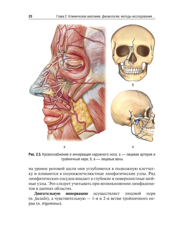Оториноларингология: Учебник. 2-е изд., перераб