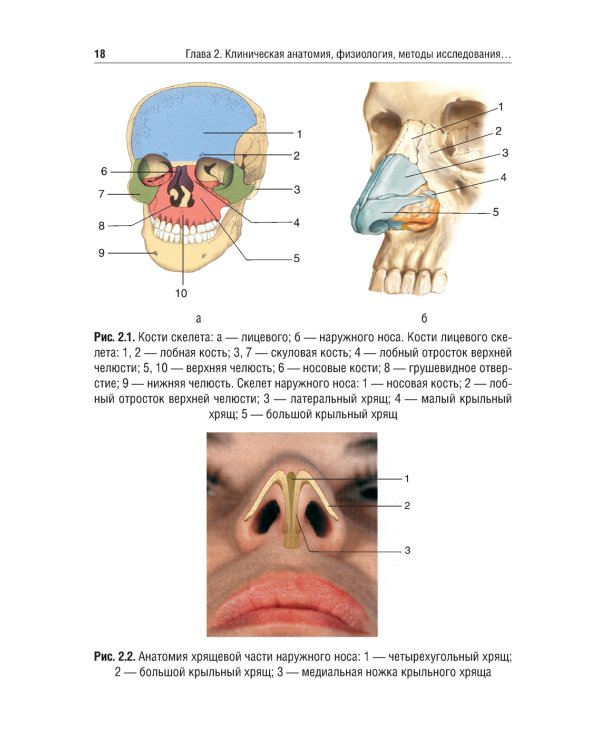Оториноларингология: Учебник. 2-е изд., перераб