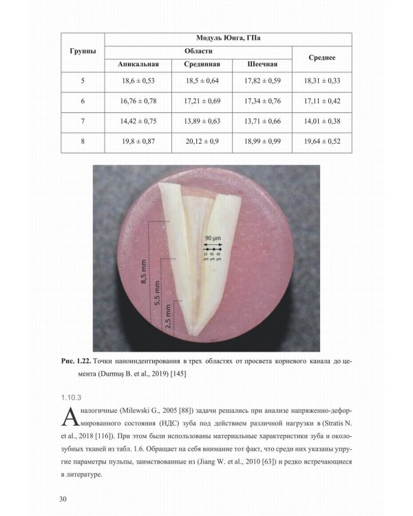 Механические свойства биологических тканей