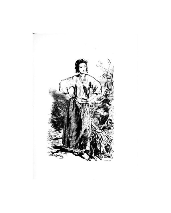 Крестьяне: роман