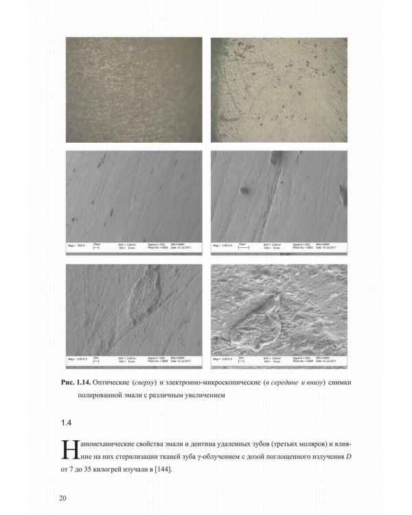 Механические свойства биологических тканей