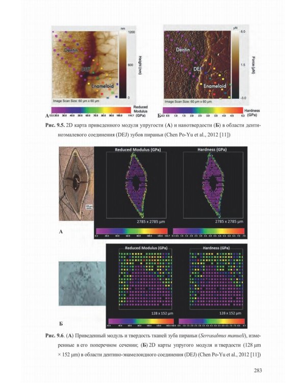 Механические свойства биологических тканей