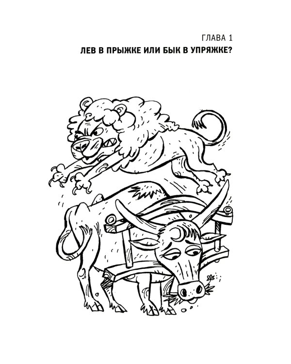 Мужчине 40. Коучинг иллюзий