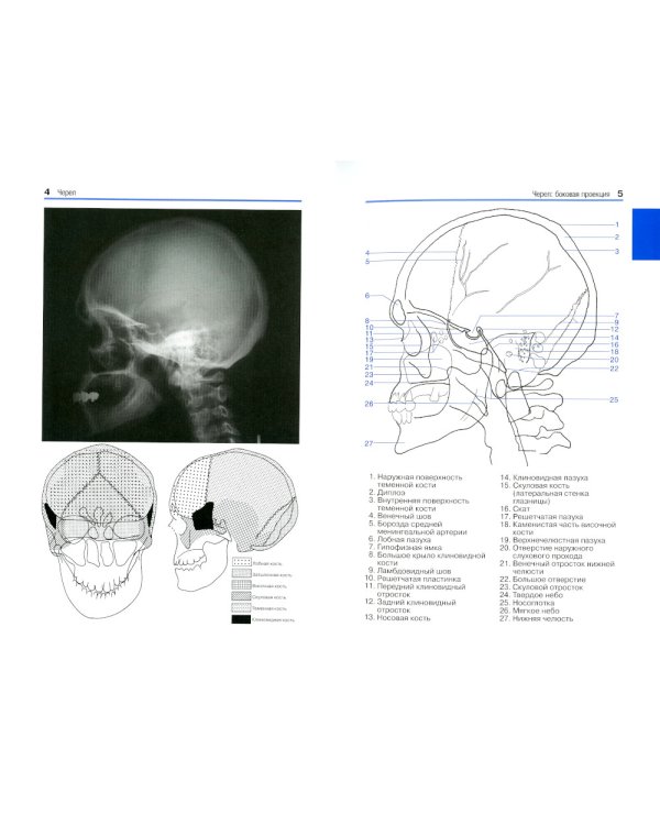 Карманный атлас рентгенологической анатомии. 8-е изд