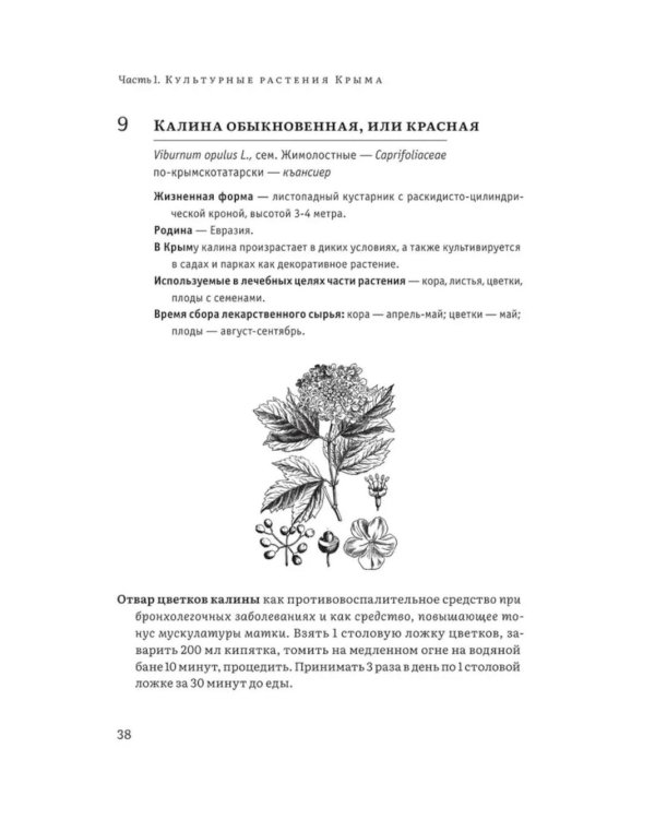 Крымский фитолечебник. Культурные, дикорастущие и привозные растения