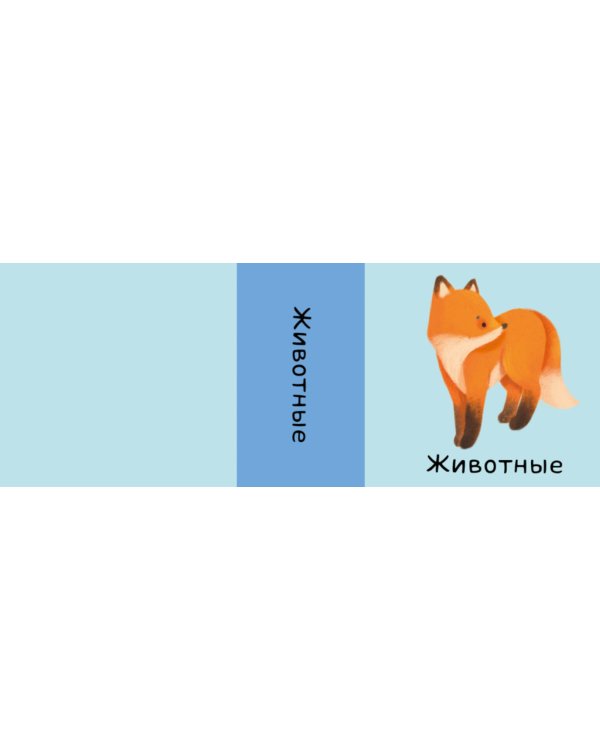 Мои первые слова. 15 книжек-кубиков. Развитие речи