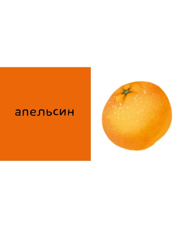 Мои первые слова. 15 книжек-кубиков. Развитие речи