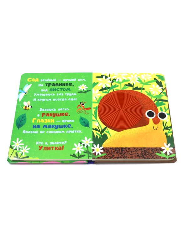 Кто я? В саду