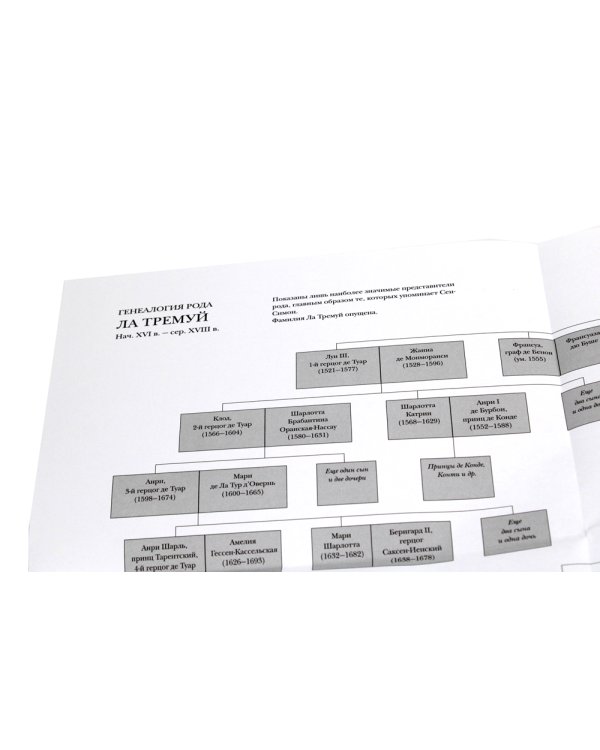 Мемуары 1701-1707. В 3 кн. (+ 8 вкладышей)
