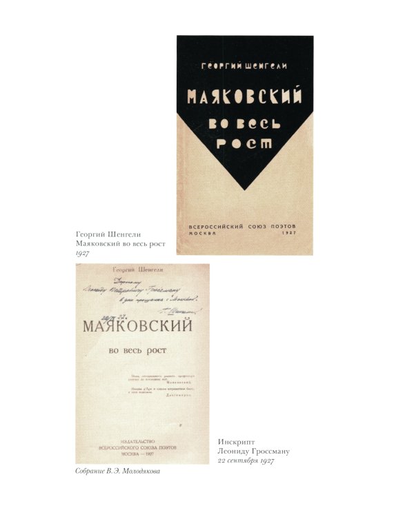 Маяковский во весь рост. О литературе и литераторах