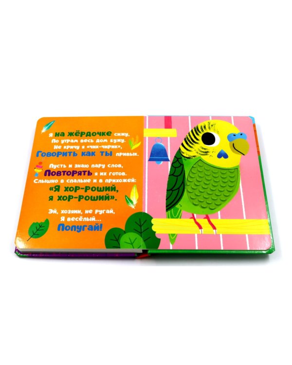 Кто я? Питомцы