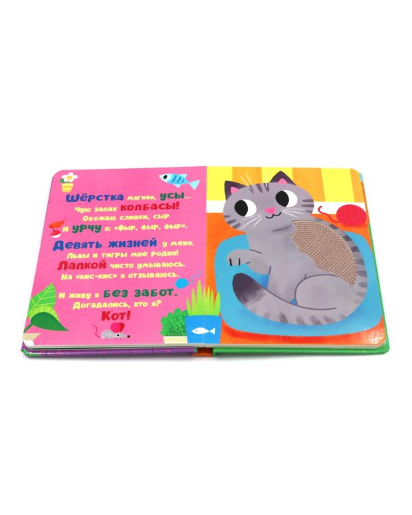 Кто я? Питомцы