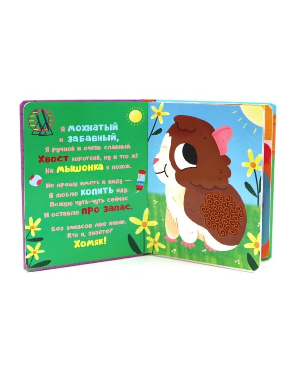 Кто я? Питомцы