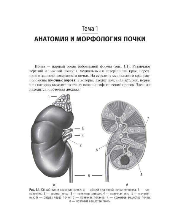 Клиническая нефрология: Учебное пособие