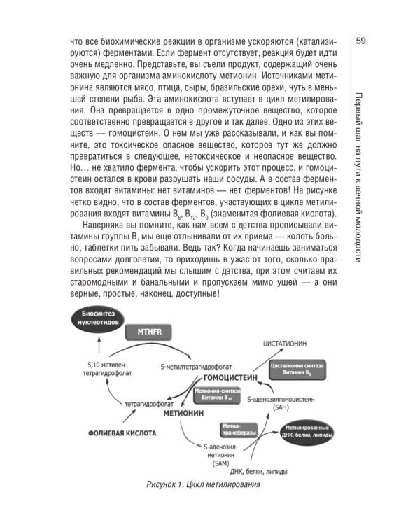 Маркеры старения