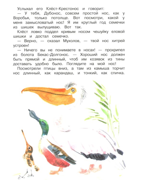 Стихи и рассказы о природе