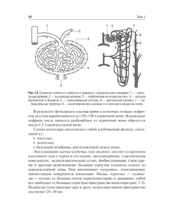 Клиническая нефрология: Учебное пособие