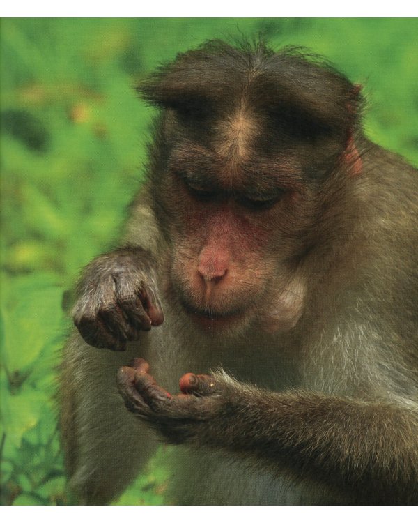 Великая математика. От Пифагора до 57-мерных объектов. 250 основных вех в истории математики. 3-е изд