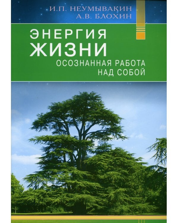 Энергия жизни. Осознанная работа над собой